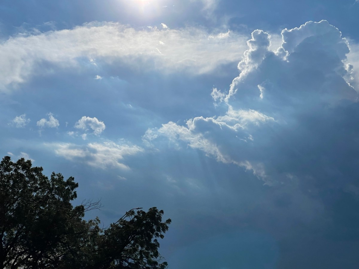 In the Still of the&nbsp;Morning…